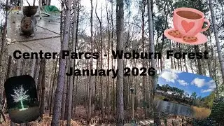 Center Parcs - Forest Lights, Adapted Lodge, Squirrels, Cosy Vibes 