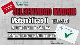 Selectividad Madrid 2020 &ndash; Matem&aacute;ticas II | Ejercicio 1.16 &ndash; &Aacute;lgebra: matrices y sistemas lineales