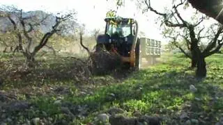 BIOMASS 100 NARANJO