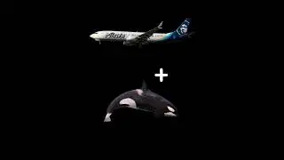 Alaska Airlines？ #orca #b737  #part2 #alaska #alaskaairlines #虎鯨 #USA #airplane #airlines  #shorts  