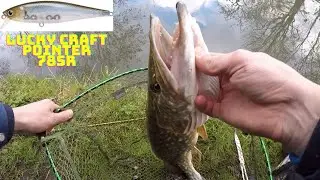 Джеркбейт, который не разочарует вас при ловле щуки.