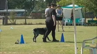 Rally Obedience Turnier 09.07.23   2. Platz Beginner