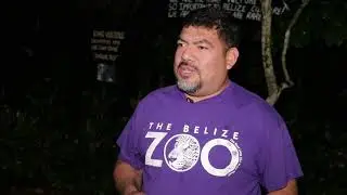 Night-Time Zoo Tours: Belizeans Enjoy Animal Encounters