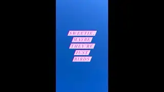Sweetie, Maybe They're Just Birds - Joe Dickinson