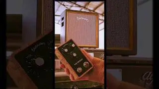 Boutique Polish Guitar Gear That SLAPS