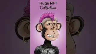 NFT Widgets: the best NFT collection ever