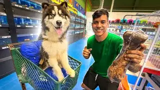 COMPREI TUDO QUE O CACHORRO DO GABRIEL PRECISAVA - OSSO GIGANTE
