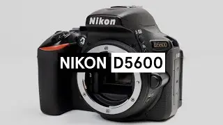 Nikon D5600 Review