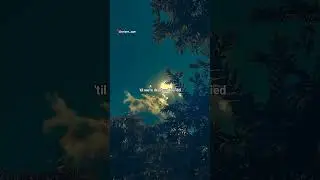 Ordinary - Alex Warren | lyrics | aesthetic | whatsapp Status || slowed | audio | #ordinary