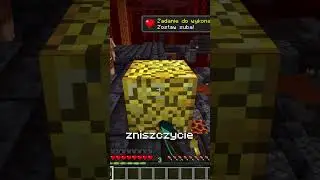 JAK BEZPIECZNIE LOOTOWAĆ BASTIONY w Minecraft?!
