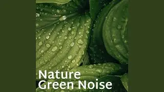 Lush Canopy - Loopable, No Fade