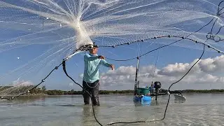 My Own Custom Cast Nets - Introducing Live Bait Matters Casts Nets