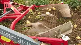 Potato Harvester from Hongzhu