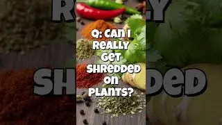 For satiety and plant strength: Can you build muscle and get a fit body without hunger?