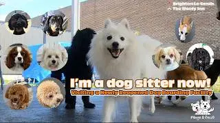 I&rsquo;m a Dog Sitter | Visiting a Newly Reopened Dog Boarding Facility