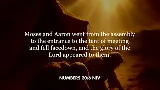 Numbers 20:6 (NIV)