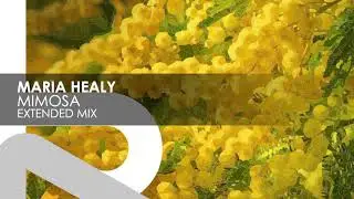 Maria Healy - Mimosa