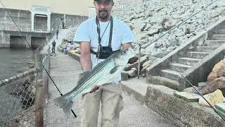 Un Bonito Pescado!!!#fishing#hashtag 