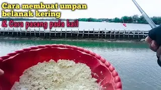 Cara membuat umpan belanak dari terigu - Umpan kering dan cara pasang pada kail