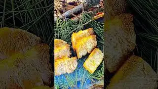 camera effect#shorts#camera#cameratest#nature#naturelovers#natural#trend#support#art#satisfying#art