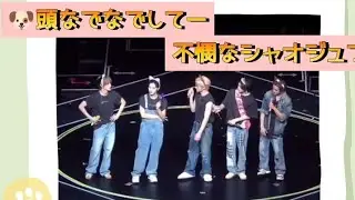●ツイてない不憫なシャオジュン●