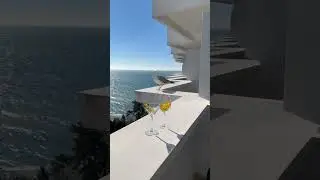 An unexpected guest🙂 #respect #shorts #sochi #russia #sea #citybythesea