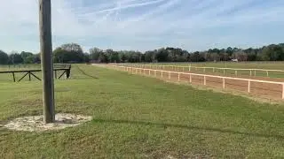 Palace Malice colt outside / Effinex colt inside.