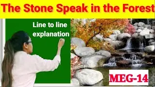 ✔️The stone speak in the forest poem by- Chsndrakanta Murasingh,title,themes,line to ine Explanation