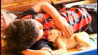 Update 11AM:Poor baby Axel feel warm adorable boy allow sleep near|Boy lull comfort Axel to sleep