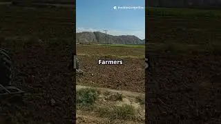 Qinghai's Eco Policies: 20-Year Grain Evolution #sciencefather #researcher #cognitive