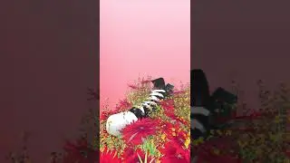 3D SHOES FLOWER GROWING ANIMATION | AFTER EFFECTS | ELEMENT 3D #shorts