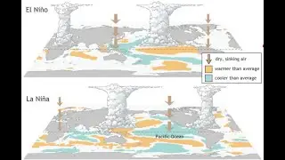 ENSO La Nina Update: Jan 28, 2026