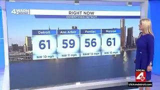 Kim Adams 11/08/2024 (4PM) WDIV 4 NBC