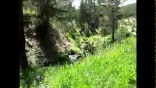 2013 KALINPINAR YAYLA GÖÇÜ