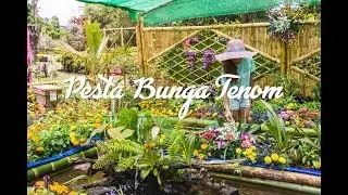 The Tenom Flower Festival 2019 | SabahTravel.com