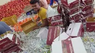 Cold storage of Pomegranate grading of Anar#pomegranate#farming#anar#apple#mango #sweet