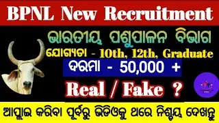 bpnl recruitment 2025 | bpnl recruitment 2025 apply online | bpnl is real or fake