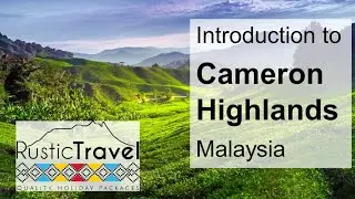 Introduction to Cameron Highlands, Malaysia - Rustic Travel
