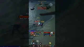 WoW Classic Season of Discovery melee survival hunter wpvp #21 - pet damage on god