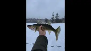 First Ice and First Ice Fishing! Gunflint Trail Update -- November 22nd, 2020