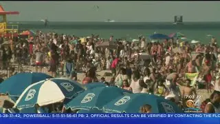 Miami Beach Dan Gelber Says Spring Breakers Causing A Scene Need To Leave