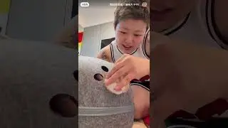 Funny animal moments to make you laugh
