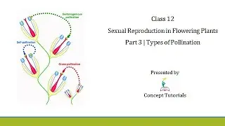 Types of Pollination | Sexual Reproduction in Flowering Plants (Part 3) | Class 12