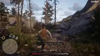 Playing Red Dead Redemption 2 Story.