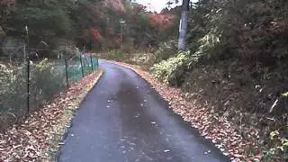 Japan Rural Scenery.