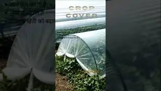 समझदार किसान Crop Cover क्यों अपनाते हैं?🔥बड़े फायदे जानिए #shorts #youtubeshorts #yiutubeshort #fyp