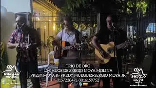 LÁGRIMAS DE SANGRE (PASEO) HERNANDO MARIN L.. TRIO DE ORO LOS HIJOS DE SERGIO MOYA MOLINA 🎸🎶🎙️