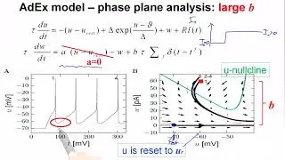 CNS7.2B - Firing patterns and phase plane analysis