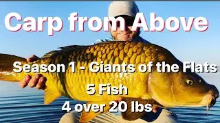 How to Fly Fish for Carp