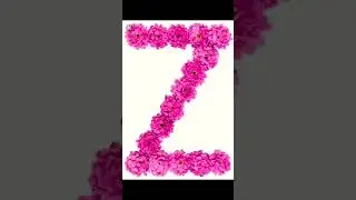 Beautiful👌🏻 Z🌹 Name Status💗 Z Letter Trending Z WhatsApp Status #shorts #viral